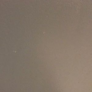 Meet your Posher, Wilson